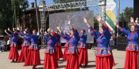 ​В левобережной части Тутаева проходит ежегодный фестиваль «Романовская овца – золотое руно России» - Правительство