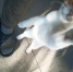 «Главное — отойти от пропасти. Только потом разбираться, как мы до неё дошли и как устроить мир иначе» - Столица С