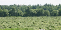 фото: Череповец-поиск - Cher-Poisk.Ru