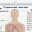 Красраб. Сибирский новостной портал - Газета Красноярский рабочий