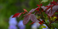 Совет дня на 19 июля: давая в долг деньги, ты покупаешь чужие проблемы - Газета Новороссийский рабочий