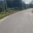 В Парфино погиб водитель вылетевшего в кювет мопеда - Новгородские Ведомости