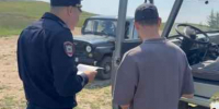 Туристы в шоке: нашествие бакланов произошло в Мухорском заливе Байкала - IrkutskMedia.Ru