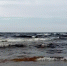 вода - Петрозаводск говорит