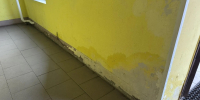 Плесень, лишние платежи, разруха в подъездах: калининградцы пришли за помощью в ЛДПР - ЛДПР