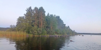 «Путь был тяжелым». На острове в Карелии спасли лес от странного пожара - Gubdaily.Ru