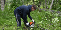 В городском парке проводят санитарную обрезку - Город Североморск