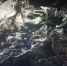 Появилось видео с места крушения Ми-2 на Кубани - SochiStream.Ru