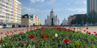 Леткач - Известия Мордовии