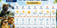 Воронежцев ждет жаркая неделя с дождливым финалом: прогноз погоды на неделю - Bloknot-Voronezh.Ru