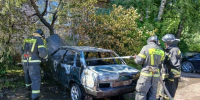 Два автомобиль сгорели в Новгородской области - Газета Новгород