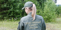 Следственное управление СК России по Кировской области напоминает правила поведения при походе в лес за грибами - Следственный комитет