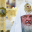 Фото: paparazzza/Shutterstock/Fotodom - Ямал-Медиа