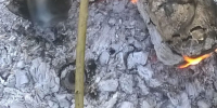 Зола - Известия Мордовии