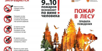 На опережение стихии: профилактика и борьба с лесными пожарами - Газета Приозерские ведомости