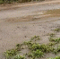 image - GazetaRB.Ru