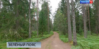 Вокруг Петербурга создадут зелёный пояс - ГТРК Санкт-Петербург