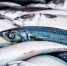 В Пензенской области Роспотребнадзор выявил рыбу и морепродукты сомнительного качества - Пенза-Обзор