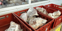 Роскачество назвало самые опасные продукты в "Магните" и "Пятерочке": список внутри - Город Киров