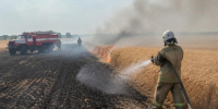 Пламя уничтожило 2 гектара пшеничного поля в Воронежской области - Bloknot-Voronezh.Ru