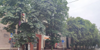 Воронежский общественник попросил власти спасти каштановые улицы города - Bloknot-Voronezh.Ru