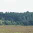 Фото: Череповец-Поиск - Cher-Poisk.Ru