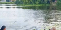 Тело молодого мужчины достали водолазы из реки Ипути в Сураже - БрянскToday.Ru