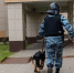 Железный нос против должников. В Карагандинской области робособака с ИИ вычислила троих нарушителей - MosRegToday.Ru