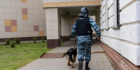 Железный нос против должников. В Карагандинской области робособака с ИИ вычислила троих нарушителей - MosRegToday.Ru