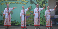 В Екатерино-Никольском в ЕАО прошел праздник малосольного огурчика - Правительство Еврейской автономной области