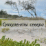 Суккуленты побережья Белого моря - Центр природопользования и охраны окружающей среды