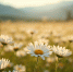 image - GazetaRB.Ru