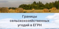 Границы сельскохозяйственных угодий в ЕГРН - Купинский район