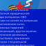 Инструкция: как ветерану СВО получить бесплатную юридическую поддержку от фонда "Защитники Отечества" - Armizon72.Ru
