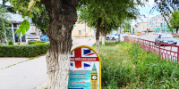 В Камышине в центре города рекламные аншлаги тонут в вымахавших сорняках - Блокнот Камышин