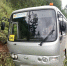 Фото: Госавтоинспекция - НИА