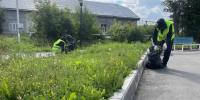 Завтра стартует запись в отряд «Наш город». - Администрация г. Шадринска