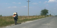 В Ленинском районе провели завершающую обработку общественных территорий от комаров - Администрация г. Барнаул