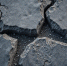 image - GazetaRB.Ru