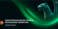 Эльмира Зарипова: «Благодаря Электронной доске почета мы сможем увидеть лучших» - ИА Татар-информ
