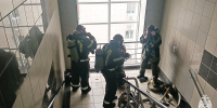 За неделю огнеборцы ликвидировали 180 пожаров в Новосибирской области - МЧС Новосибирской области