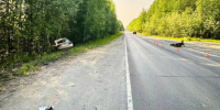 Дело о гибели 16-летнего питбайкера в Стрежевом направили в суд - ГТРК Томск