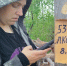 Воспроизводство лесов Сибири – под пристальным вниманием специалистов - Рослесозащита