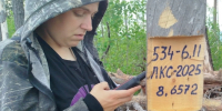 Воспроизводство лесов Сибири – под пристальным вниманием специалистов - Рослесозащита