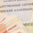 В ОП предложили ввести многодетный маткапитал в размере 1 млн руб - M24.Ru