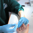 В Барнауле 21 и 22 июля можно бесплатно пройти экспресс-тестирование на ВИЧ - Администрация г. Барнаул