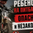 Профилактика дорожных происшествий с питбайками! - Тацинский район