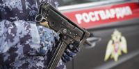 Росгвардия в Ульяновске изъяла пять килограммов наркотиков и 11 единиц оружия - Комсомольская правда