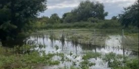 Уровень воды в реке Исеть в районе города Далматово поднялся - Новый мир