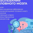 НЕДЕЛЯ СОХРАНЕНИЯ ЗДОРОВЬЯ ГОЛОВНОГО МОЗГА 2026 - Кировский областной СПИД-центр